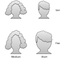 A Scientific Perspective on Why Hairstyle Matters