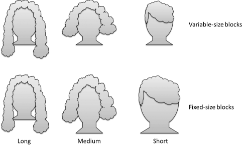 Literature News - A Scientific Perspective on Why Hairstyle Matters